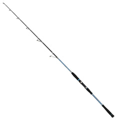 Captain 1429 Canon Boat Tekne Kamışı PE 2-5 10-15Lbs 170Cm