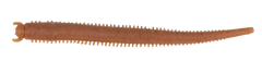 Berkley Gulp Saltwater Fat Sandworm Sahte Kurt
