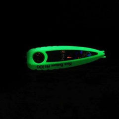 Hayabusa EX 977 Kick Bottom 100gr İnchiku Jig Suni Yem