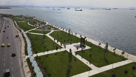 İstanbul’un Kalbinde Bir Olta Klasikleri: Zeytinburnu Sahili ve İstavrit Aşkı